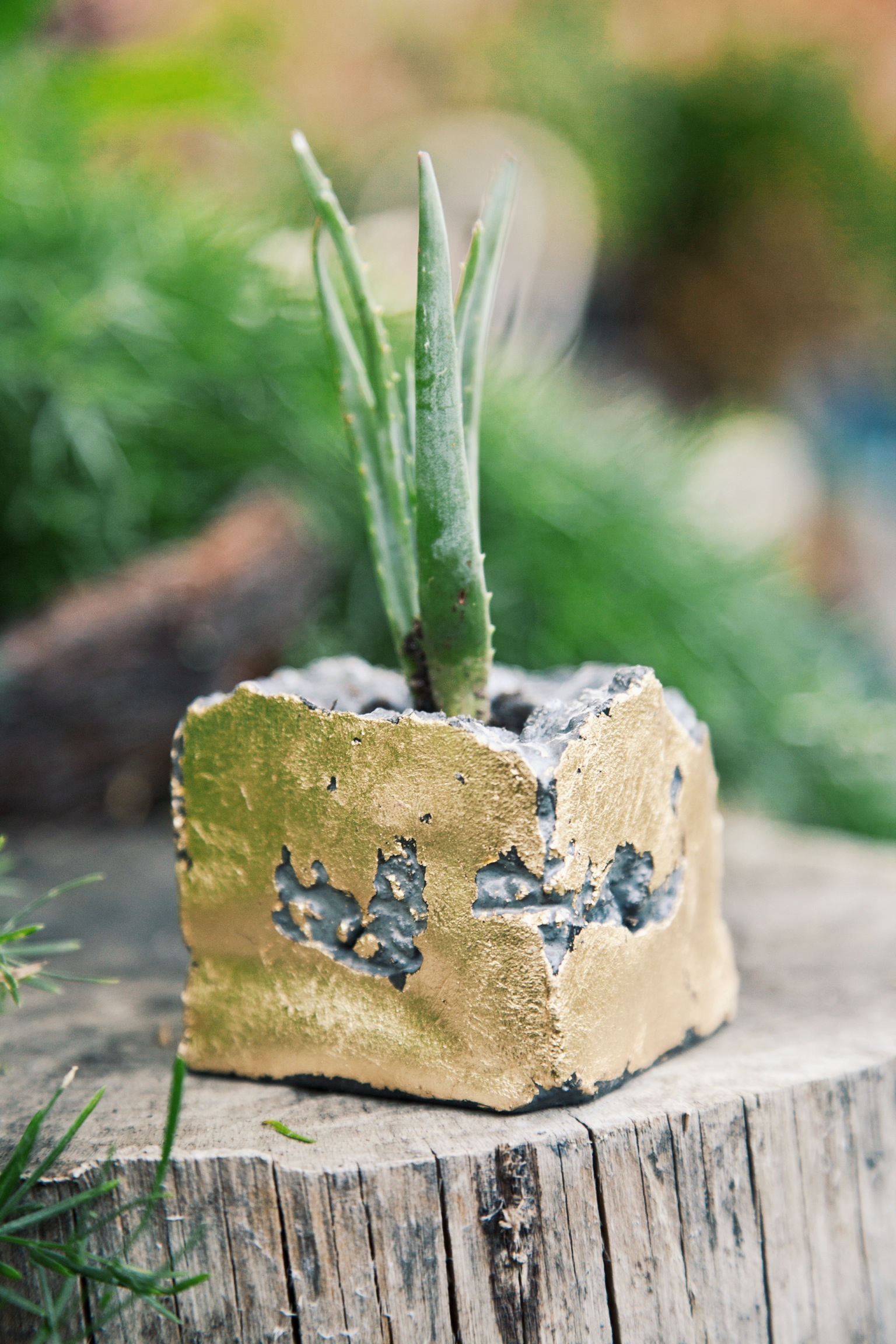Concrete Geometric Succulent Planters via Needles + Leaves :: Giveaway